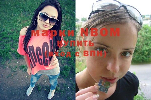 хмурый Алексин
