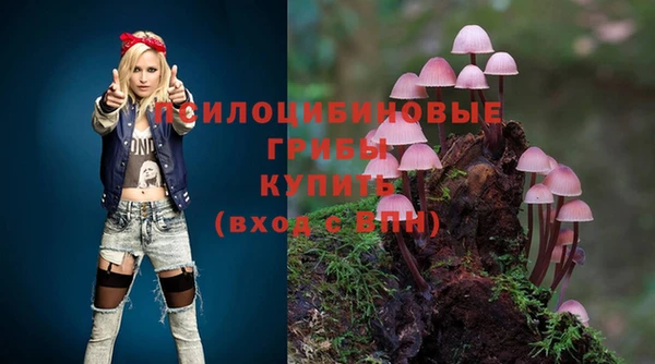 хмурый Алексин