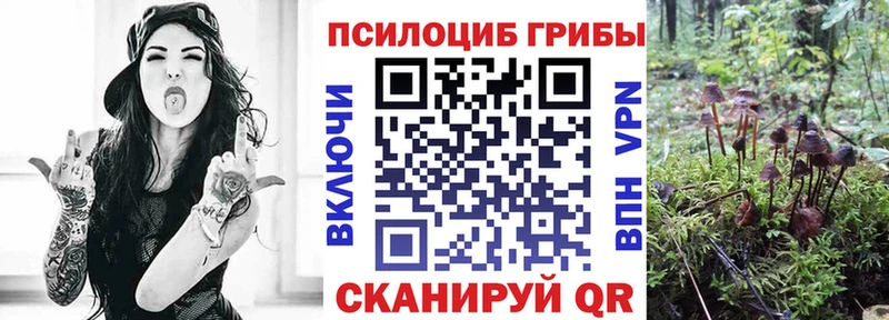 Псилоцибиновые грибы мицелий  закладка  Луза 